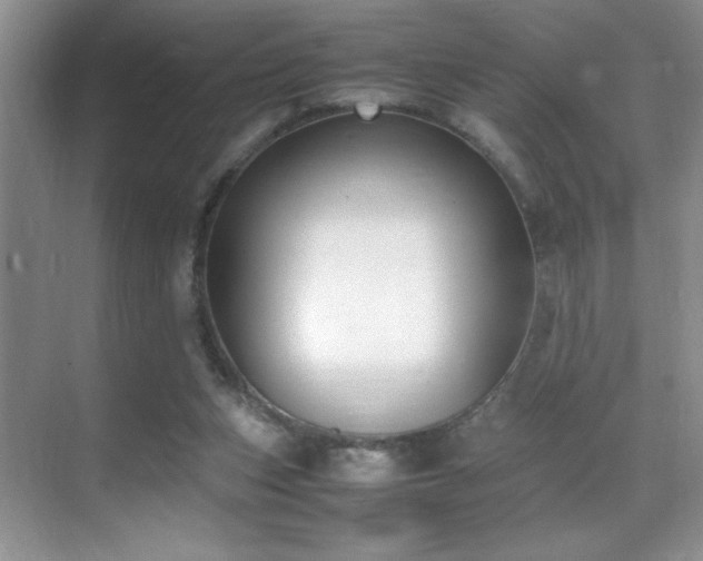 X0000070380159200606091134