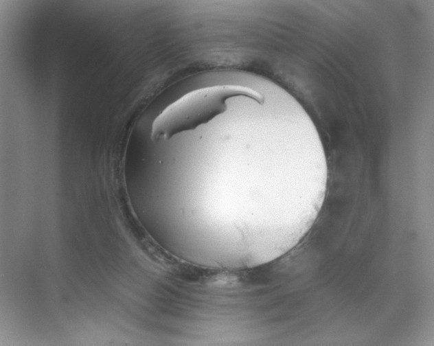 X0000070380162200606091134