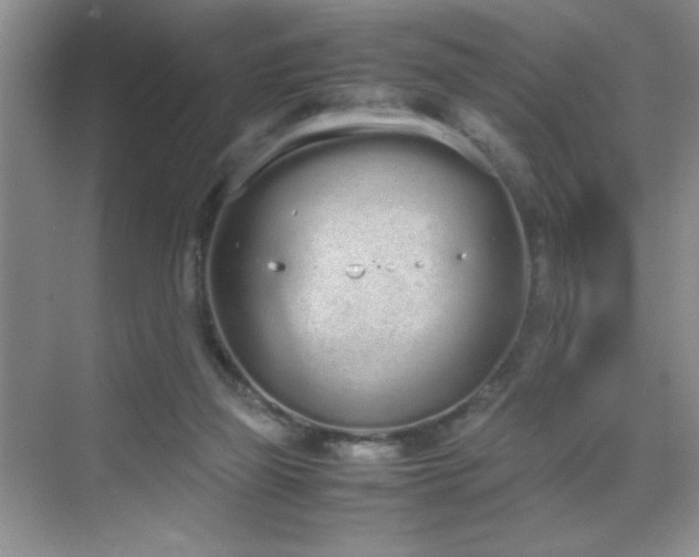 X0000070380165200606091134