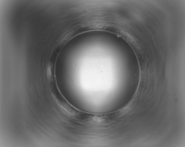 X0000070380166200606091134