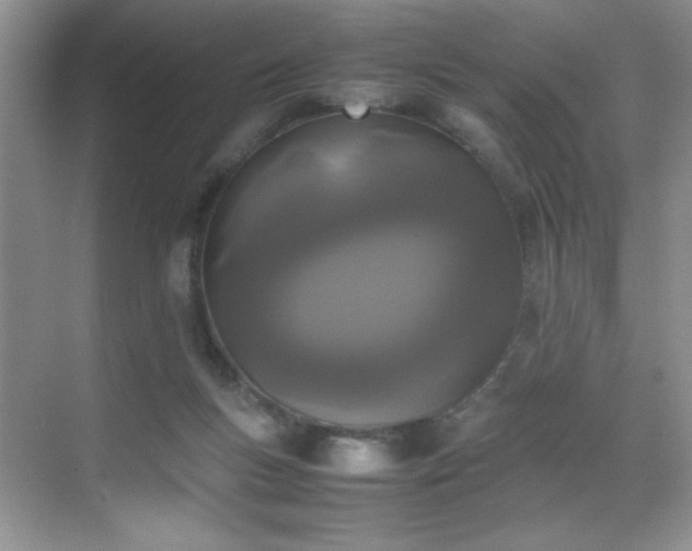 X0000070380167200606091134