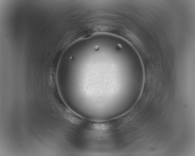 X0000070380169200606091134