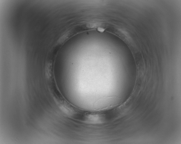 X0000070380171200606091134