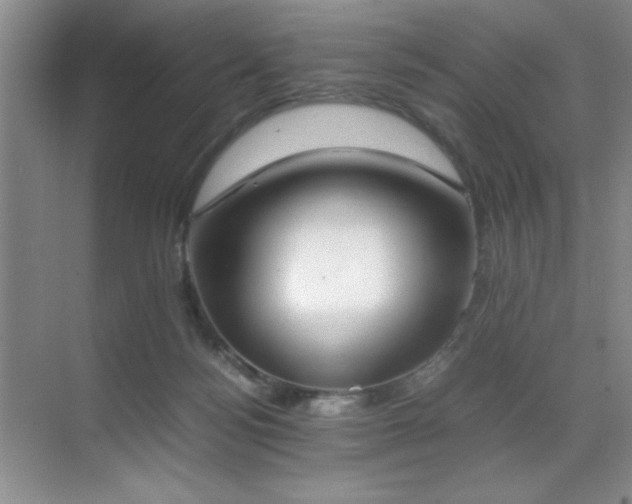 X0000070380172200606091134