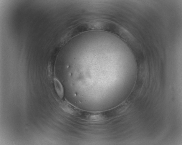 X0000070380173200606091134