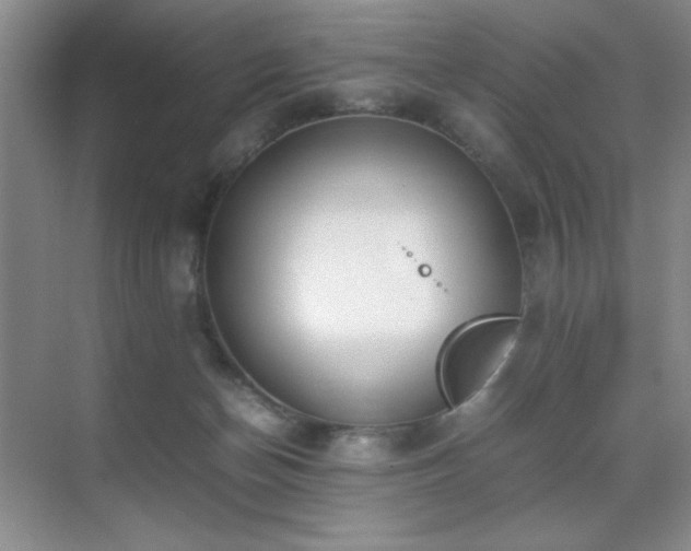 X0000070380174200606091135