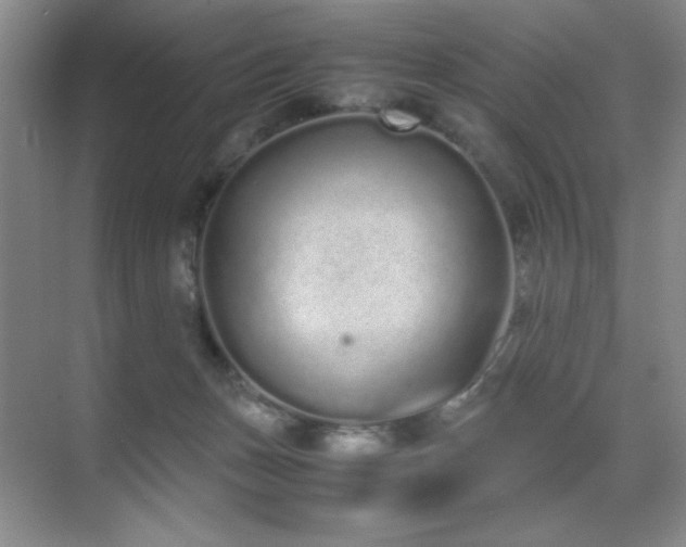 X0000070380175200606091135