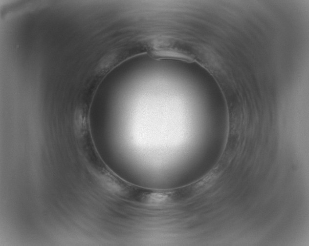 X0000070380176200606091135