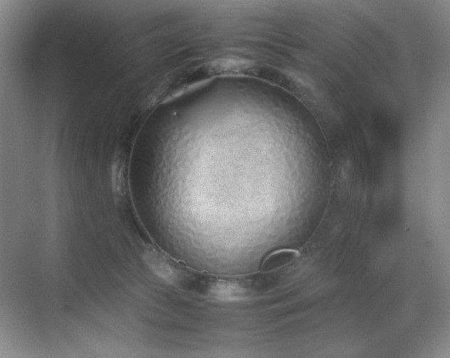 X0000070380177200606091135