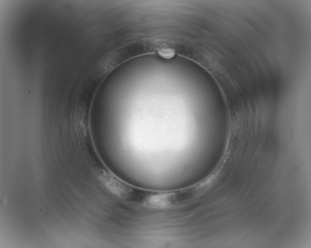 X0000070380178200606091135