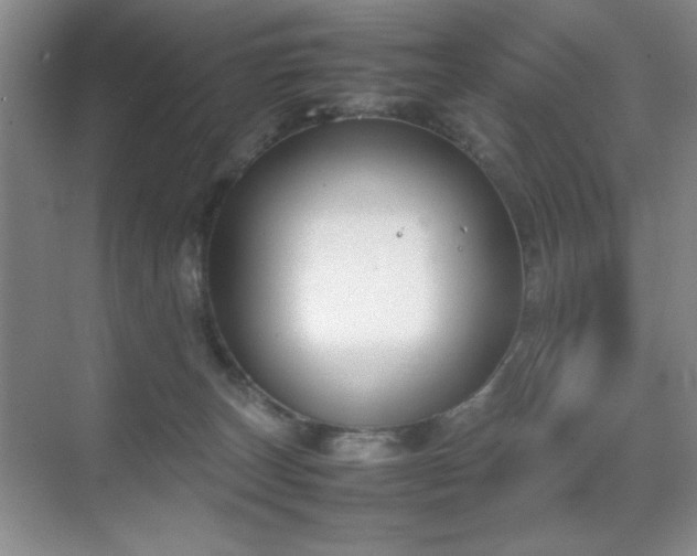 X0000070380179200606091135