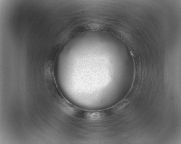 X0000070380181200606091135