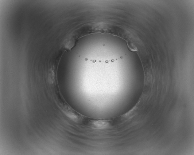 X0000070380183200606091135