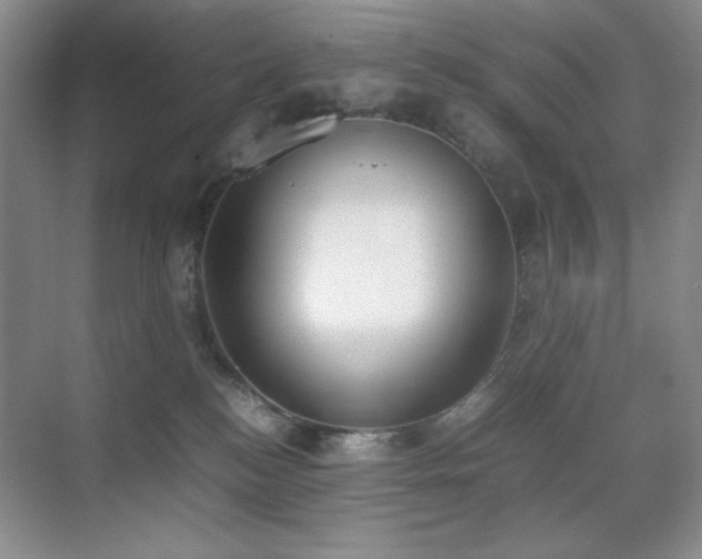 X0000070380184200606091135