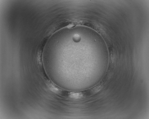 X0000070380185200606091135