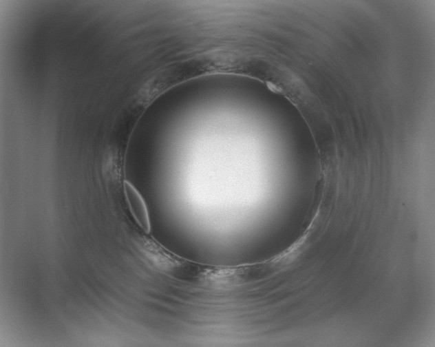 X0000070380186200606091135