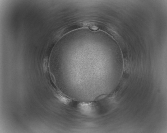 X0000070380189200606091135