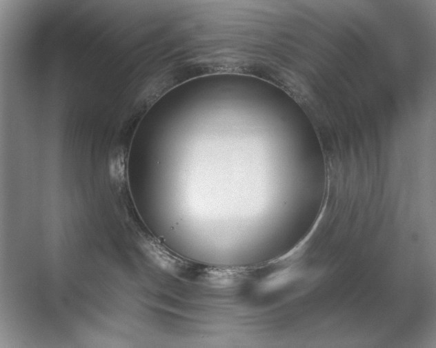 X0000070380190200606091135