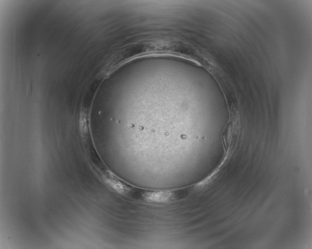 X0000070380191200606091135