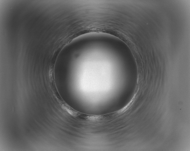 X0000070380192200606091135