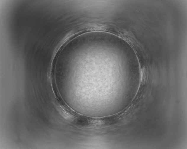 X0000070380195200606091134