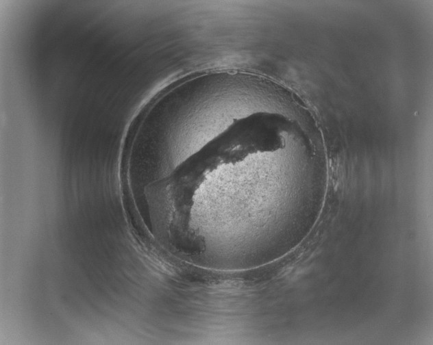 X0000070380196200606091134