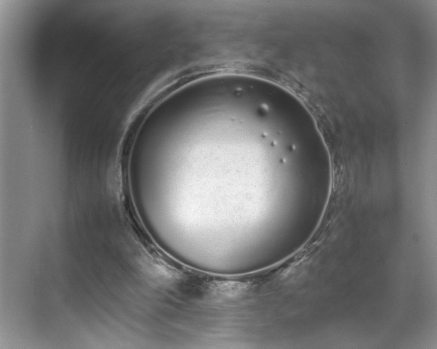 X0000070380198200606091134