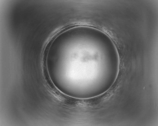 X0000070380199200606091134