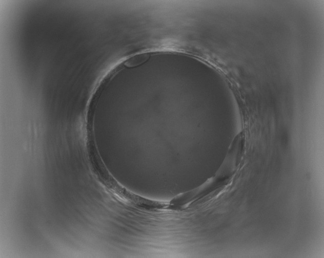 X0000070380200200606091134