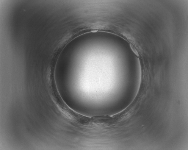 X0000070380201200606091134