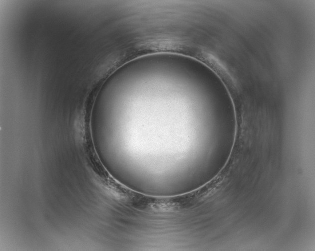 X0000070380202200606091134