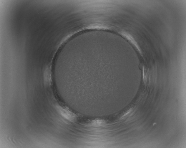 X0000070380204200606091134