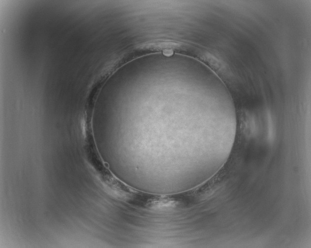 X0000070380206200606091134