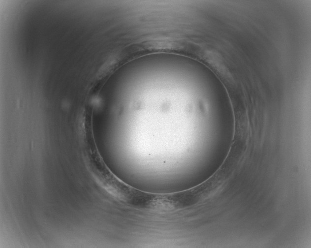 X0000070380207200606091134