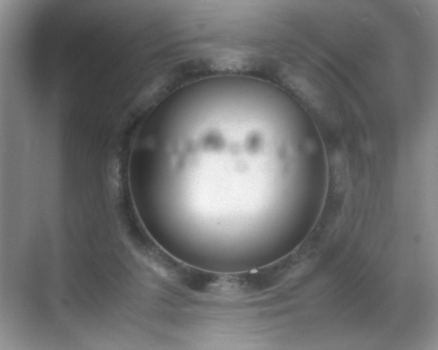 X0000070380211200606091134