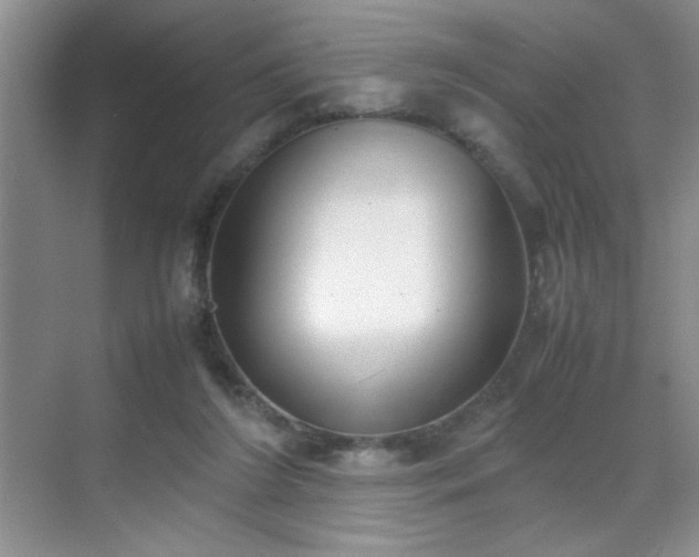 X0000070380212200606091134