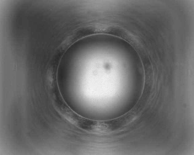 X0000070380215200606091134