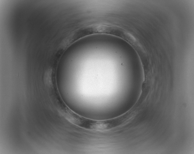 X0000070380217200606091134