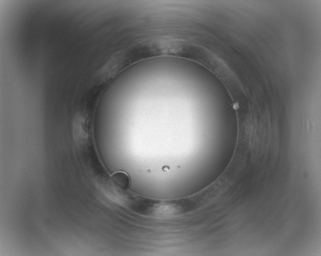 X0000070380218200606091134