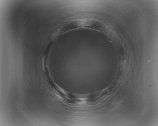 X0000070380219200606091134