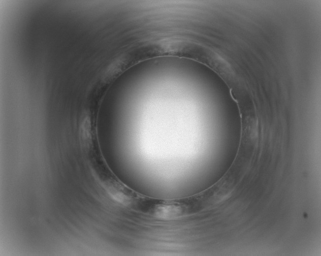 X0000070380220200606091134