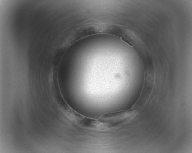 X0000070380221200606091134