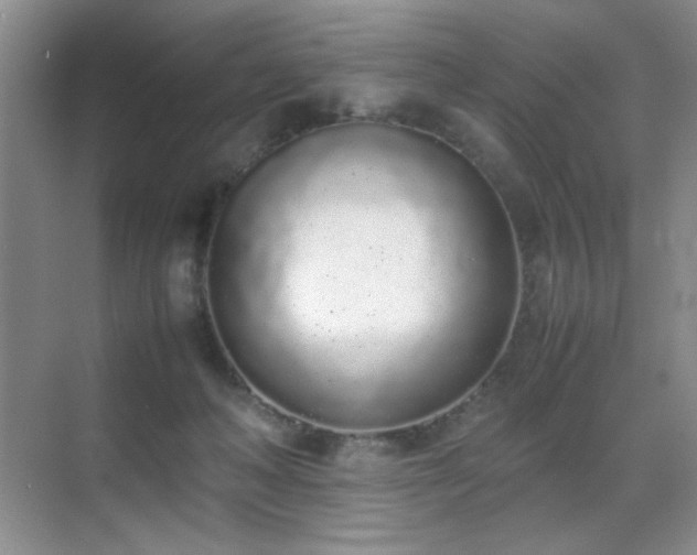 X0000070380222200606091134