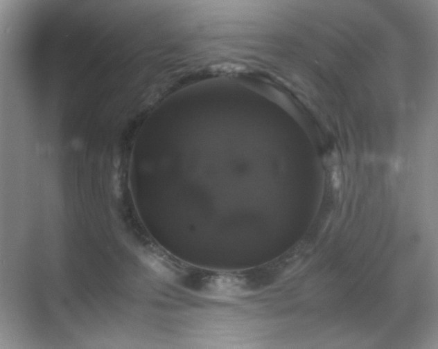 X0000070380223200606091133