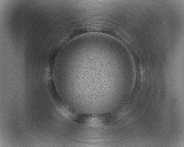 X0000070380224200606091133