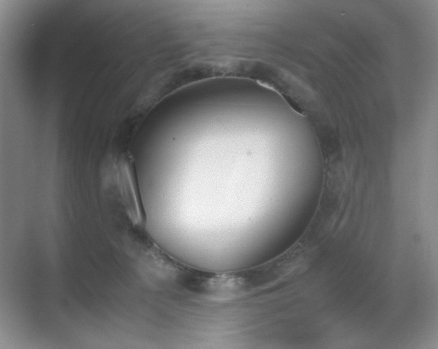 X0000070380225200606091133