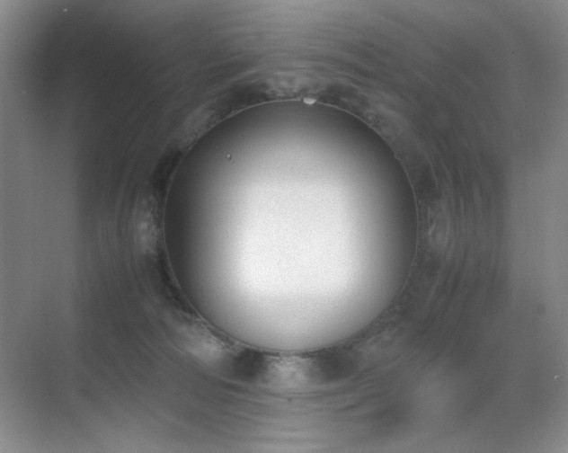 X0000070380226200606091133