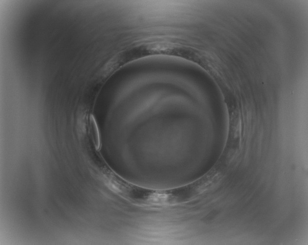 X0000070380227200606091133