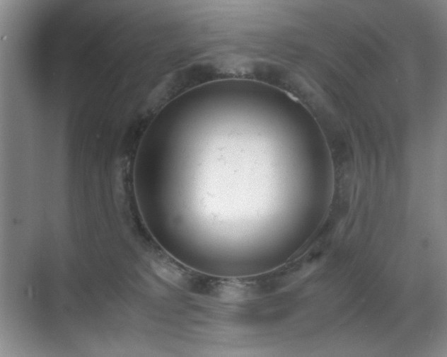 X0000070380229200606091133