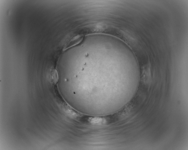 X0000070380230200606091133